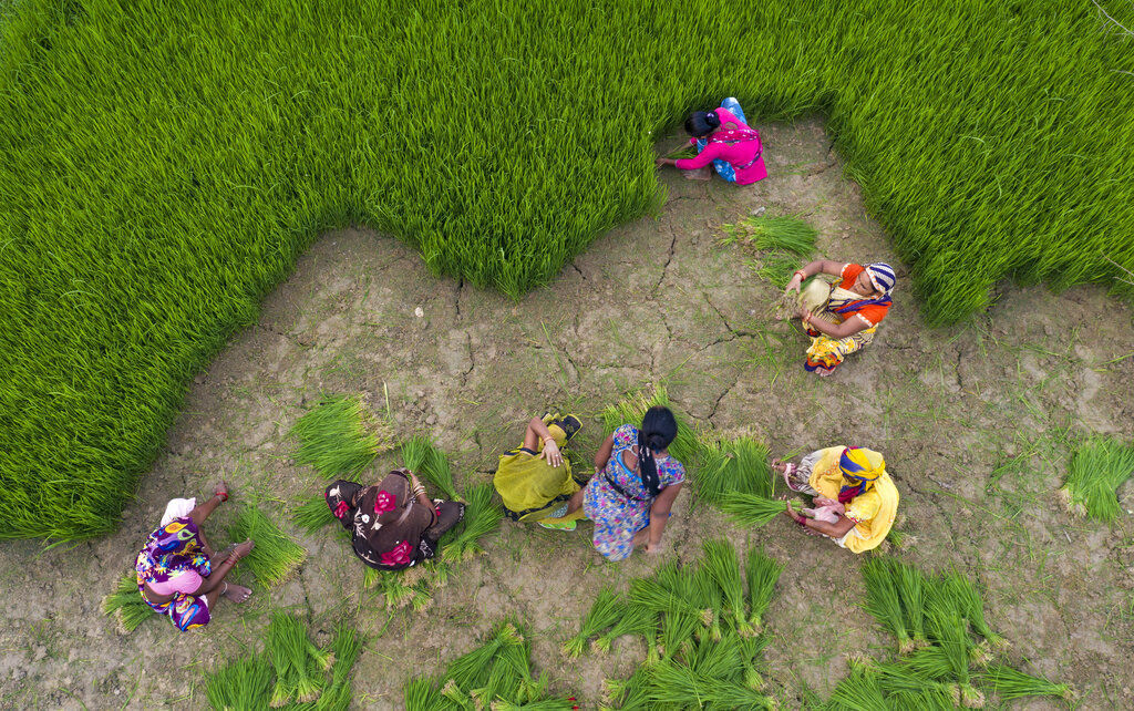 APTOPIX India Daily Life